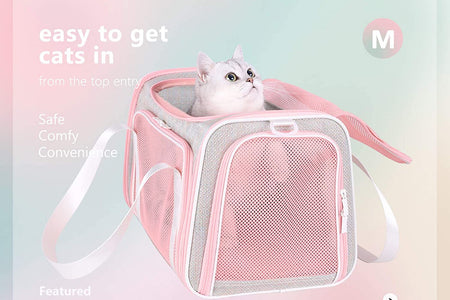Soft Cute Travel Pet Carrier Bag for Medium Cats, Kitty and Puppy, Fantasy Pink, M