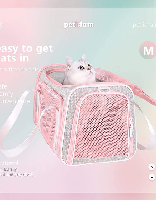 Load image into Gallery viewer, Soft Cute Travel Pet Carrier Bag for Medium Cats, Kitty and Puppy, Fantasy Pink, M
