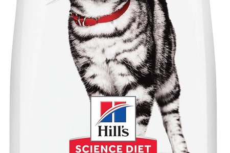 Dry Cat Food, Adult, Indoor, Chicken Recipe 3.5 Lb Bag
