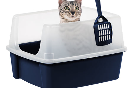 , High Sided Open Top Cat Litter Box with Scoop, Navy