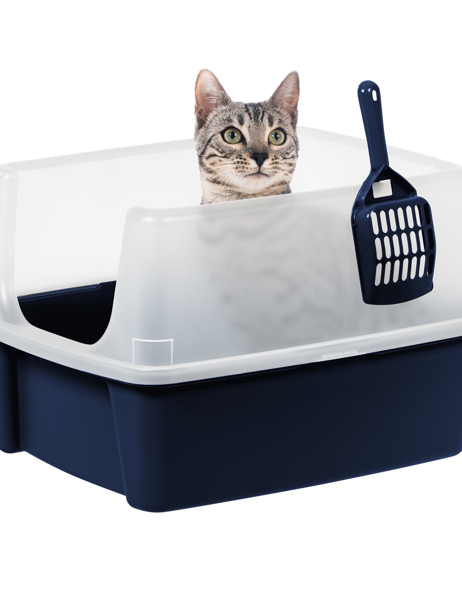 , High Sided Open Top Cat Litter Box with Scoop, Navy
