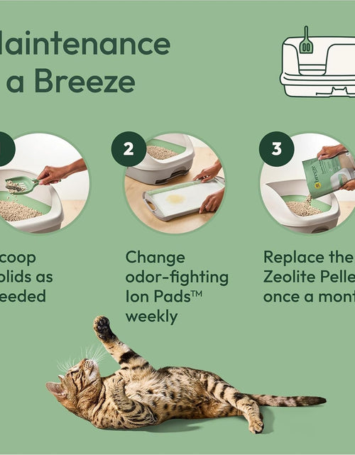 Load image into Gallery viewer, Purina  Scented Litter Pellets, Breeze Enhanced Refill Litter Pellets in Recyclable Box - (4) 7 Lb. Bags
