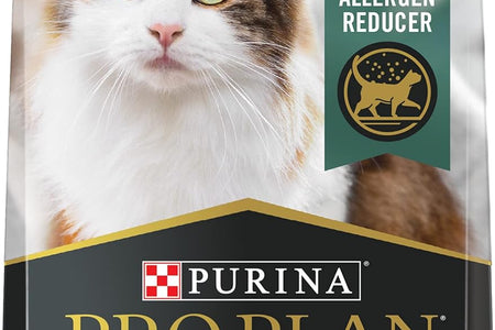 Liveclear with Probiotics Allergen Reducing Salmon & Rice Adult Dry Cat Food