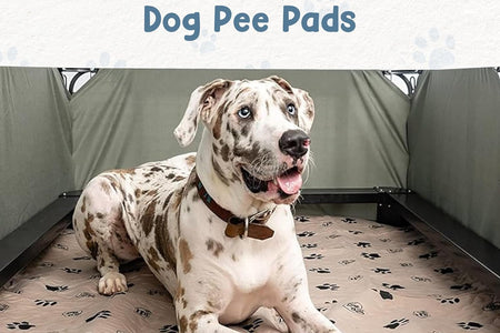 Reusable Dog Pee Pads for Dogs - Waterproof Potty Training Pee Pad - Washable Dog Training Pads W/ Rounded Corners Puppy Pad - Lightweight & Laminated Whelping Pad Dog Mat Pet Supplies - 2 Pk