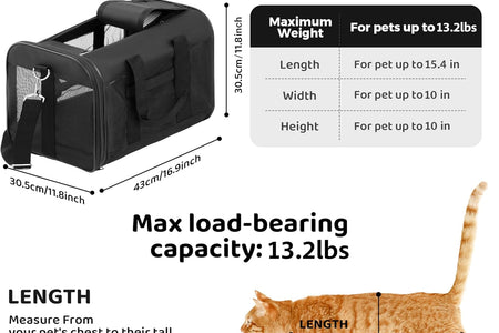 Pet Travel Carrier Soft Sided Portable Bag for Cats, Small Dogs, Kittens or Puppies 17 Lbs Max, Collapsible, Durable, Airline Approved, Travel Friendly (Medium)