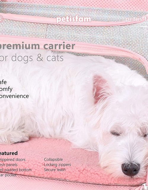 Load image into Gallery viewer, Soft Cute Travel Pet Carrier Bag for Medium Cats, Kitty and Puppy, Fantasy Pink, M
