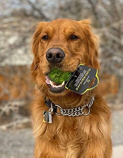 Load image into Gallery viewer, Durasqueak Dog Ball Toy, Interactive Dog Toys That Float and Squeaks for Playing, Fetching and Retrieving-Great Alternative to Traditional Tennis Balls Green 2.5 Inch
