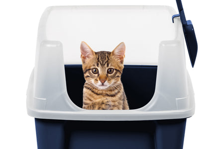 , High Sided Open Top Cat Litter Box with Scoop, Navy