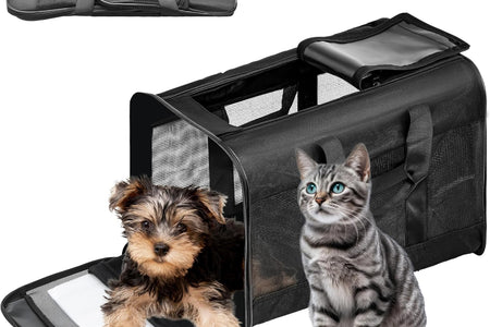 Pet Travel Carrier Soft Sided Portable Bag for Cats, Small Dogs, Kittens or Puppies 17 Lbs Max, Collapsible, Durable, Airline Approved, Travel Friendly (Medium)