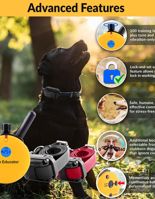 Load image into Gallery viewer, E-Collar Humane Dog Training Collar with Remote Features 100 Levels of Safe Stimulation, Tapping Sensation, Night Light, Waterproof, Rechargeable
