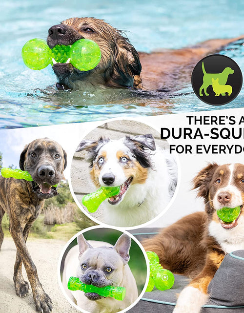 Load image into Gallery viewer, Durasqueak Dog Ball Toy, Interactive Dog Toys That Float and Squeaks for Playing, Fetching and Retrieving-Great Alternative to Traditional Tennis Balls Green 2.5 Inch
