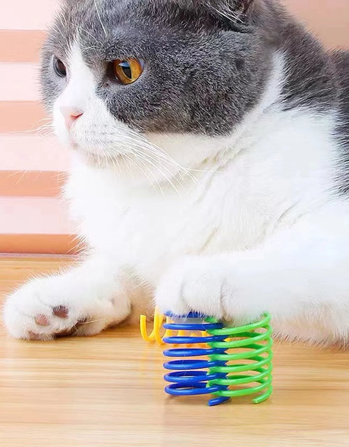 Load image into Gallery viewer, 40 Pack Cat Spiral Spring, Cat Toys Spring for Indoor Cats, Durable Plastic Coils Colorful Cat Kitten Spring Toy Creative Toy for Swatting, Biting, Hunting
